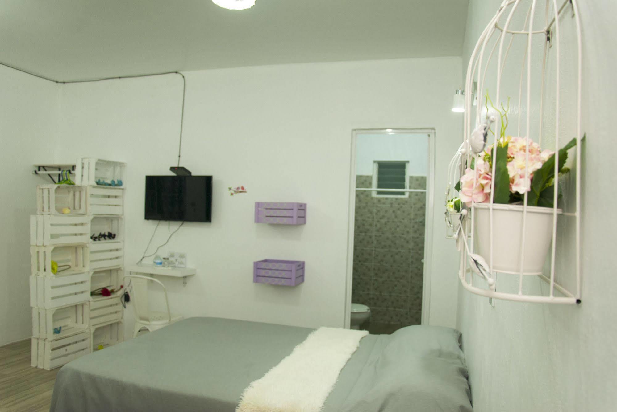 Oaxaca Hotel Karenina מראה חיצוני תמונה